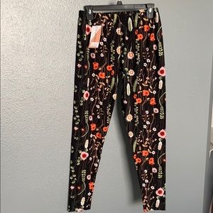 Curvy Honey & Lace leggings